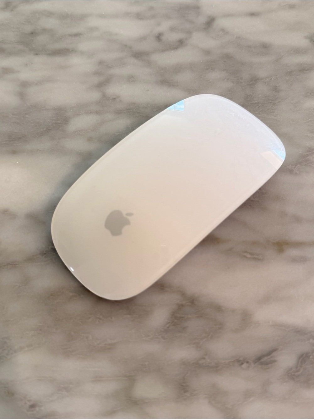 Apple Wireless Magic Mouse in Silver and Black